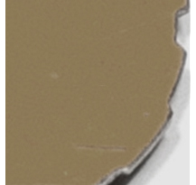 Edge of metal cam with irregular profile.