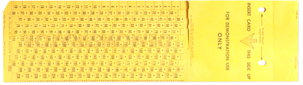 A long yellow card with instructions on its use as a ballot